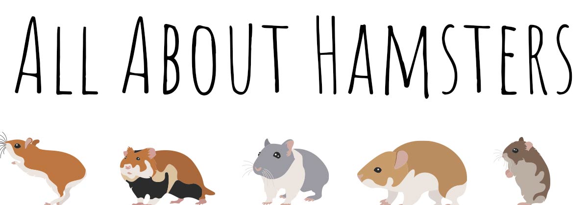 All About Hamsters